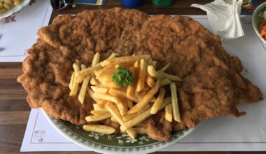 All this nonsense about French and PIGS cuisine.. Mountain Hans knows what I like and I always leave Austria 100% satisfied.
