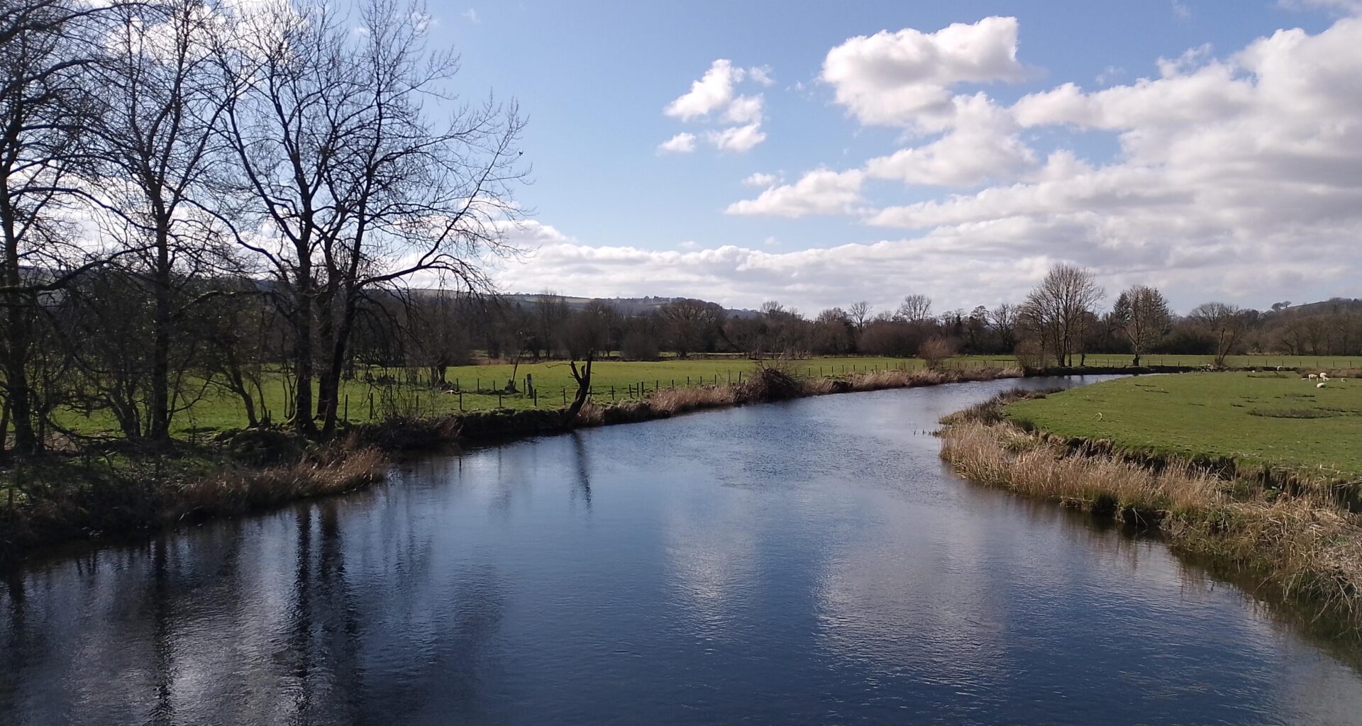 Least Picturesque Welsh Countryside (taken from Pont Steffan over the Teifi, Lampeter)