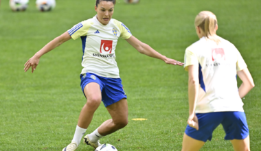 Sverige och Danmark ansöker om fotbolls–EM 2029