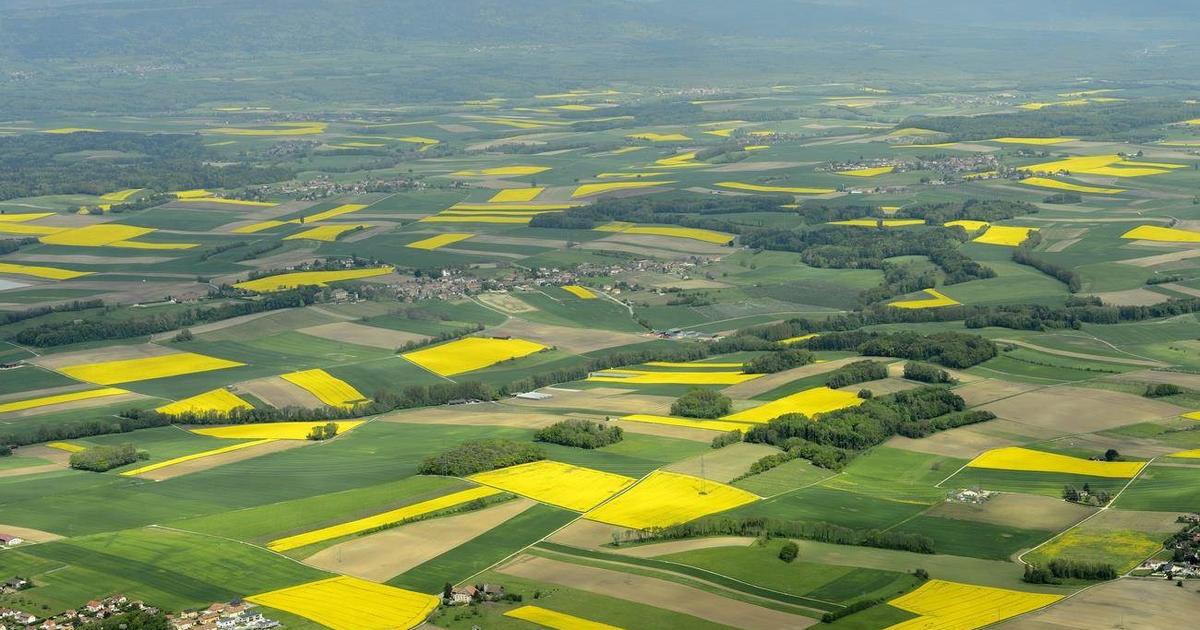 La Suisse cartographiée en 3D grâce à un vaste balayage laser aérien - rts.ch