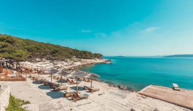 Music, Art & Wellness Festival