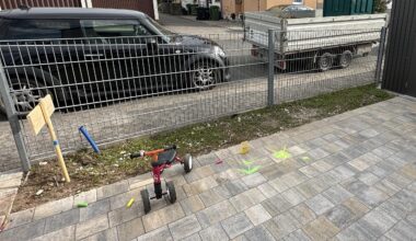 Pflanzen für Hecke gesucht