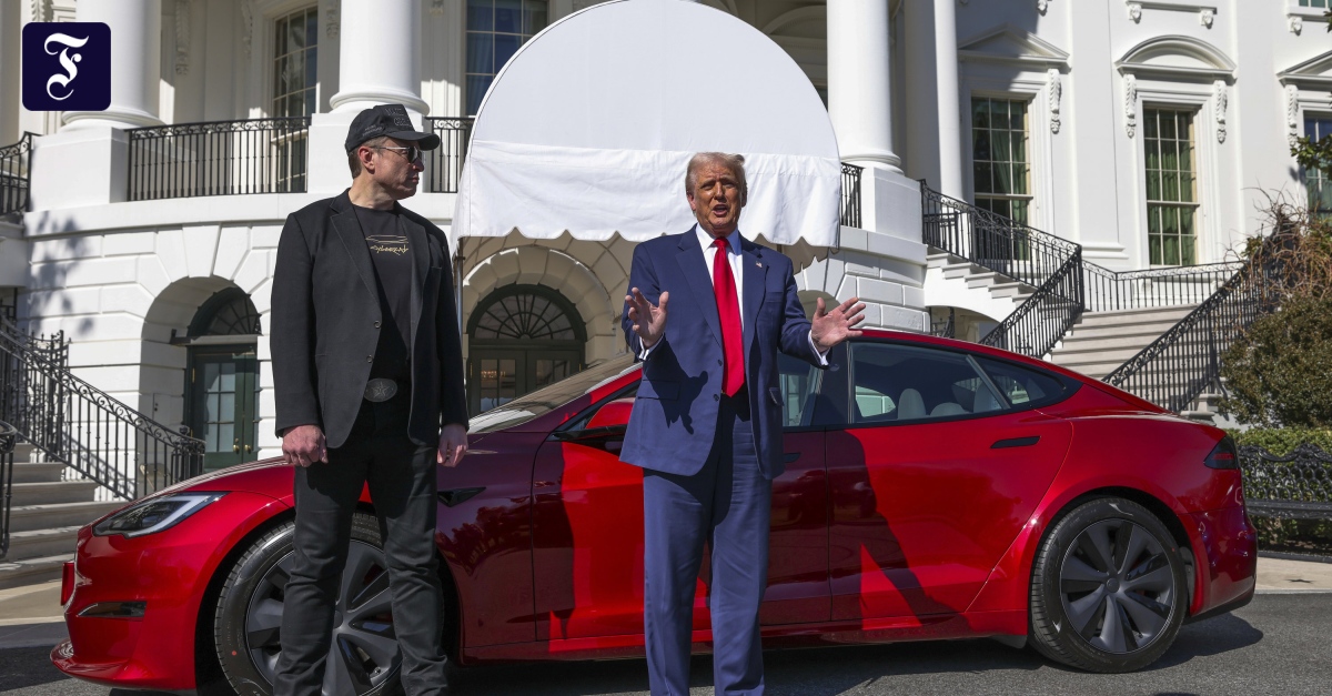 Trumps Werbeaktion für Tesla: Späte Rache für Musk