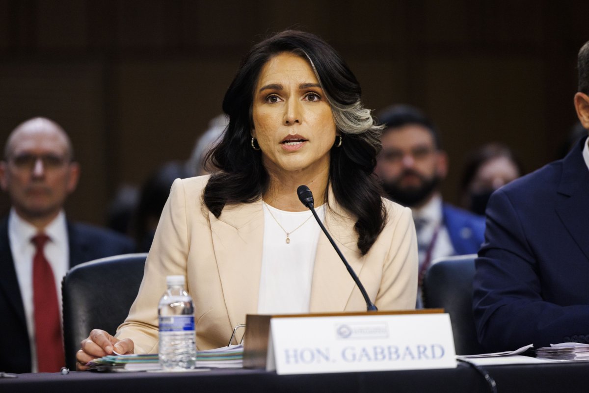 Tulsi Gabbard, Director of National Intelligence