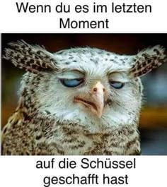 Wenn du es im letzten Moment auf die Schüssel geschafft hast