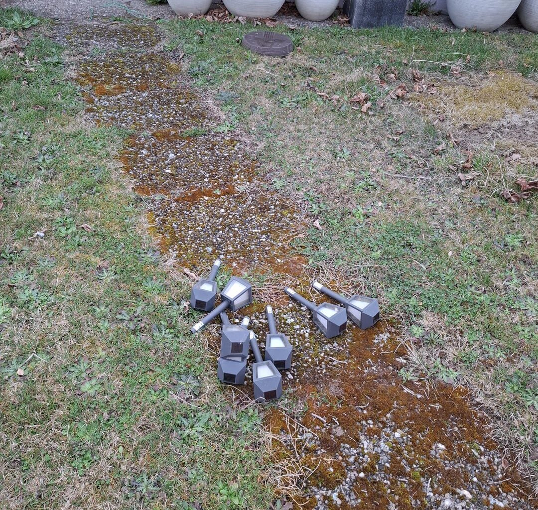 Welches Gartenwerkzeug ist am sinnvollsten?