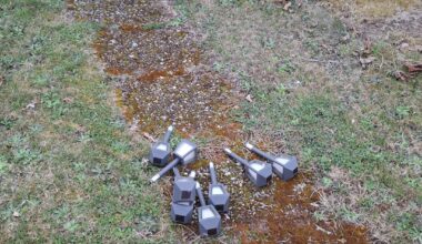 Welches Gartenwerkzeug ist am sinnvollsten?