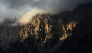 New Tools, Free Kits, and Climate Leadership Awards — Grand Canyon Synod of the ELCA