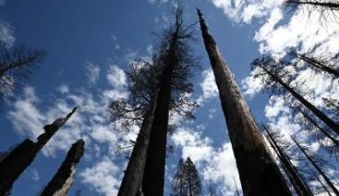 Local Governments Can Go on Offense to Protect the Environment