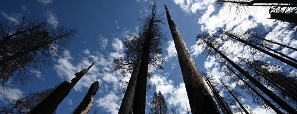 Local Governments Can Go on Offense to Protect the Environment