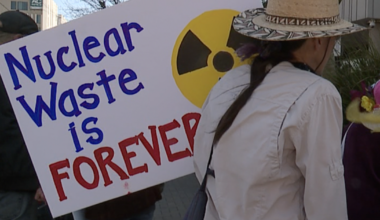 Protestors rally Downtown against proposed plan for new reactor