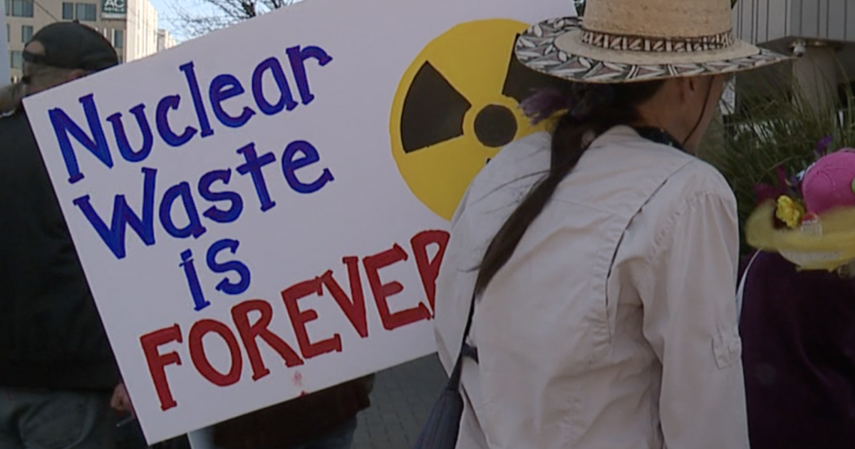 Protestors rally Downtown against proposed plan for new reactor