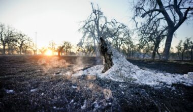 Oklahomans survey devastation after hundreds of homes are destroyed and damaged by wildfires