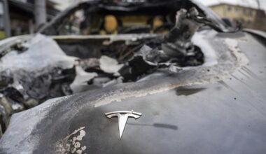 Attacks on Tesla dealerships spike as Musk partners with White House