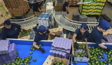 Trump's erratic trade policies are baffling businesses