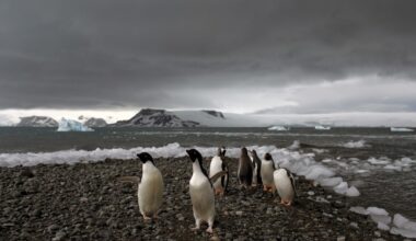 Fear at isolated Antarctica base as a man is accused of attacking a colleague and making threats