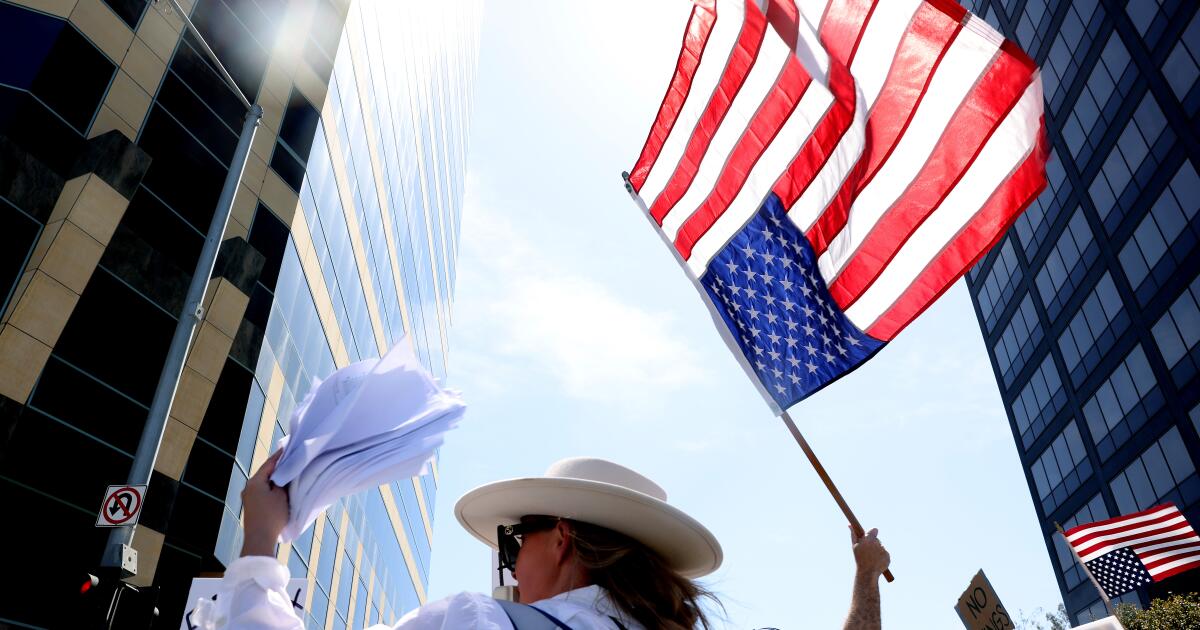 Hundreds rally against Trump, Musk in Westwood