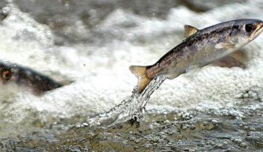 Letters to Editor: 'The marine environment has been despoiled' by humans