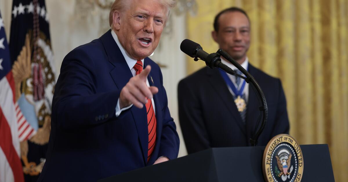 Hollywood's vocal support of DEI was ebbing even before Trump