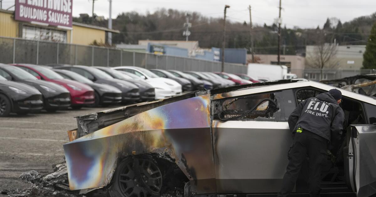 Tesla attacks mark troubling twist in political violence as Musk divides America