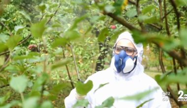 Forever chemicals and their lasting effects in your environment