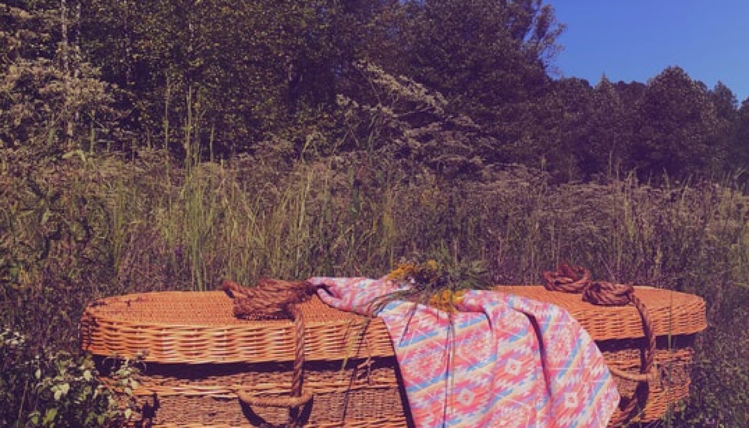 Natural burial: How does honoring the dead impact the environment?