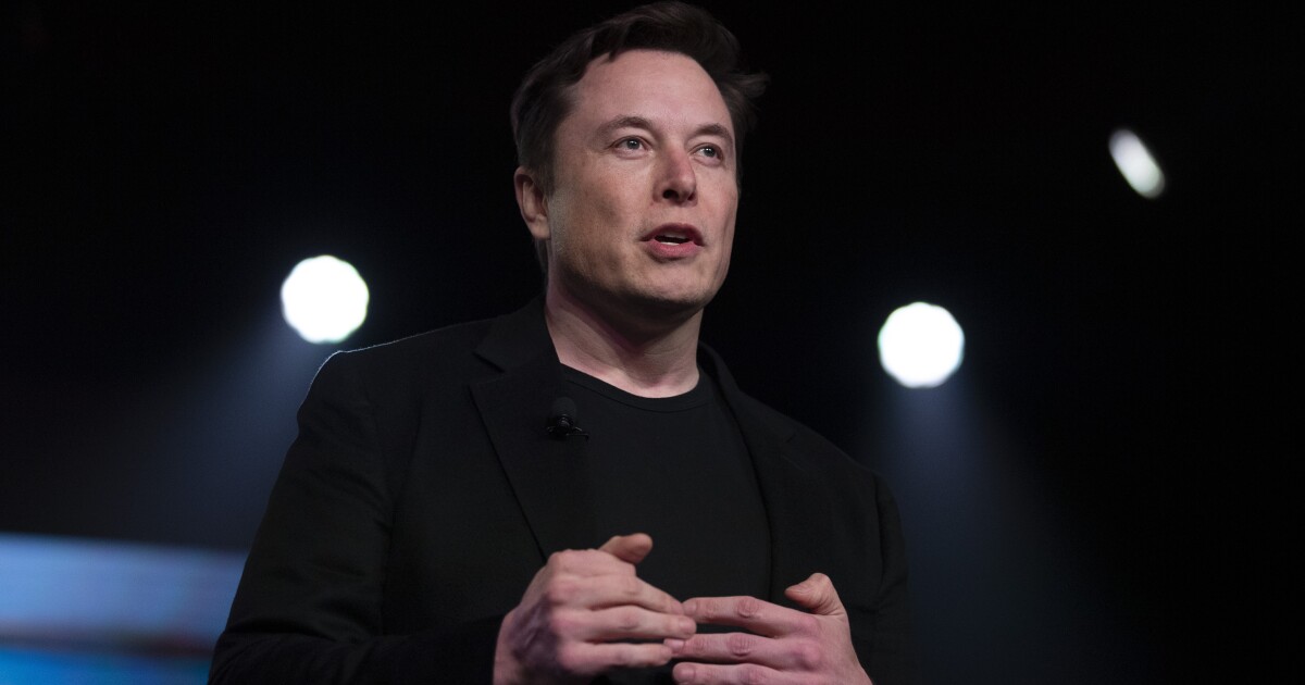 Appeals court pauses Maryland judge's ruling ousting Elon Musk, DOGE from USAID