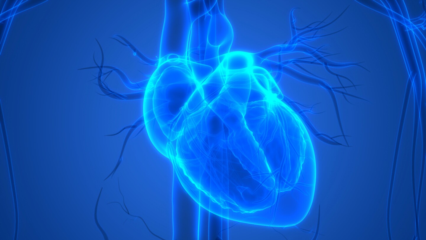 Alnylam’s Amvuttra Approved as First RNAi Silencer for Rare Type of Cardiomyopathy