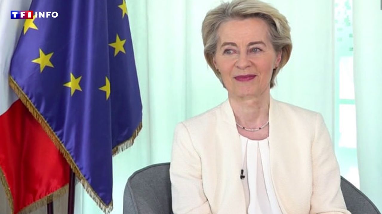 EN DIRECT - Ukraine : "Poutine ne s'arrêtera pas s'il n'est pas dissuadé par une posture militaire forte", prévient Von der Leyen