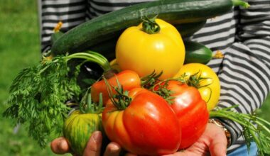 Are we really supporting our agricultural industry in the face of changing geopolitics and climate?