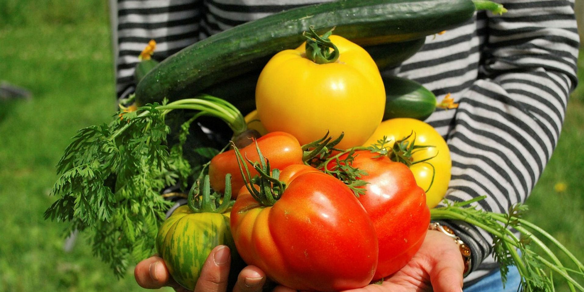 Are we really supporting our agricultural industry in the face of changing geopolitics and climate?