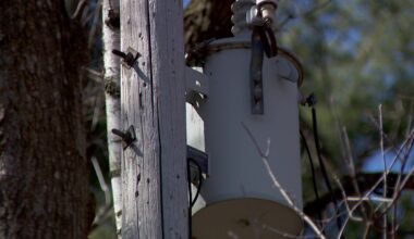 Xcel Energy tree trimming changing due to wildfire risk adjustment