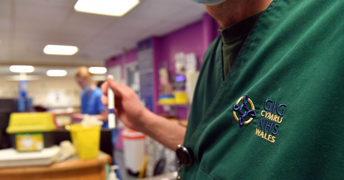 A disease that killed millions in the 19th Century is growing again in Wales