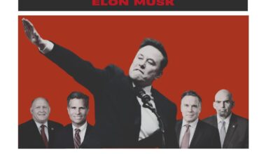 Who voted for Musk? Not one single American, so why are our politicians enabling this billionaire?