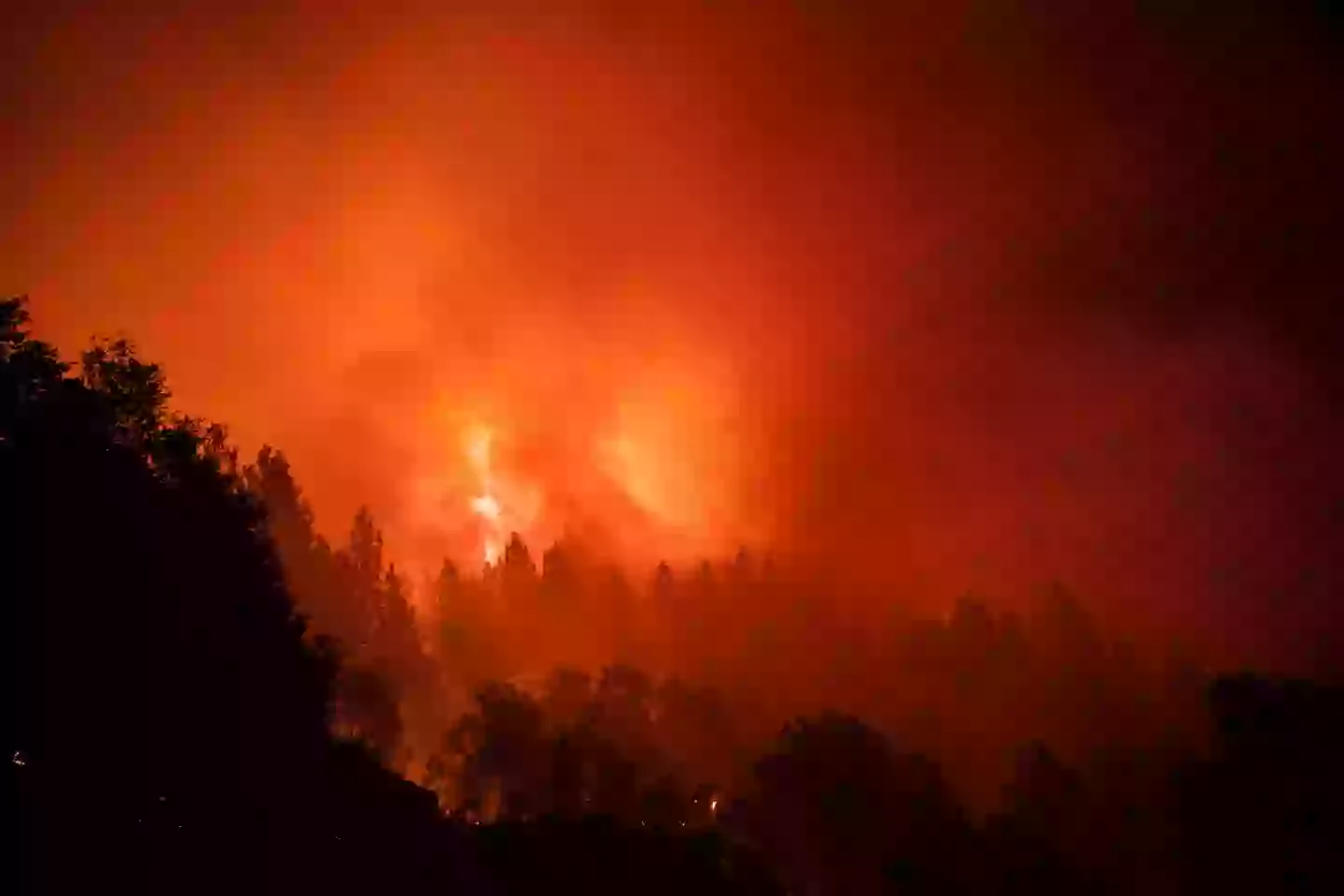 Global warming has resulted in more devastating wildfires in locations like the US and Australia recent years (Getty Stock Images)