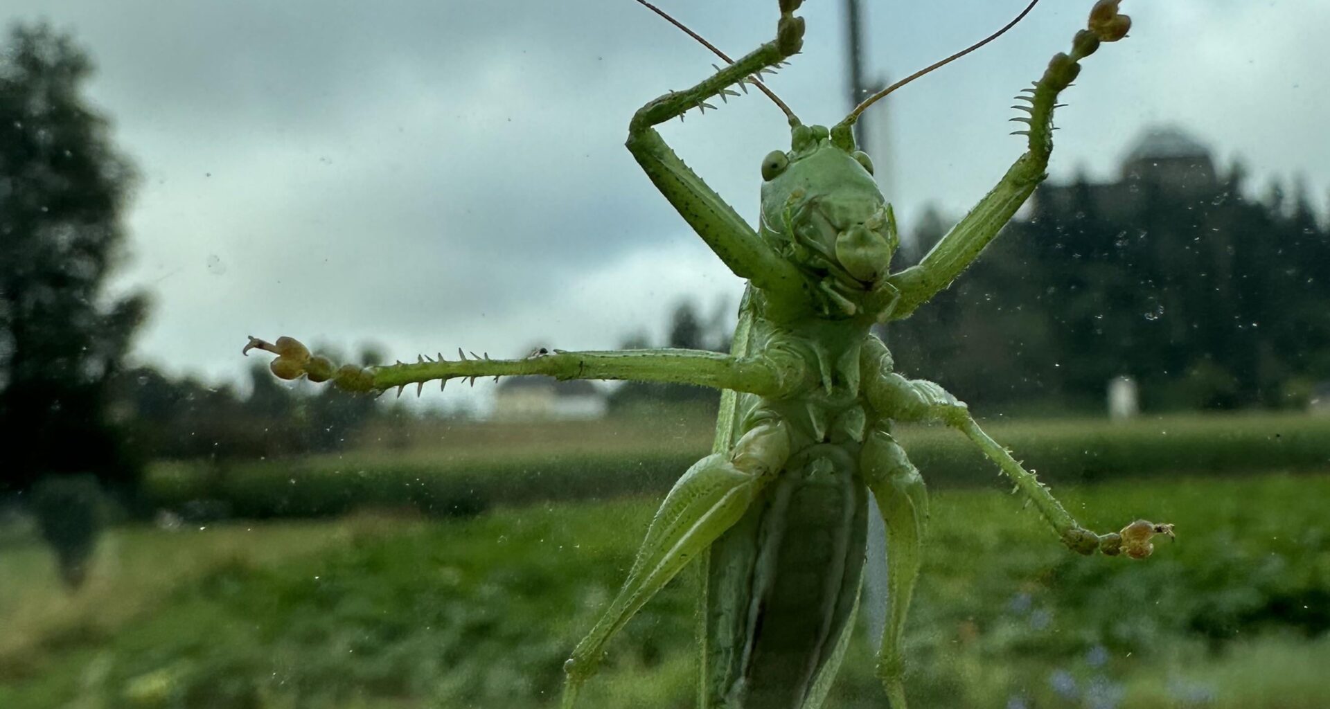 Hatte letztens einen Fahrgast 😅