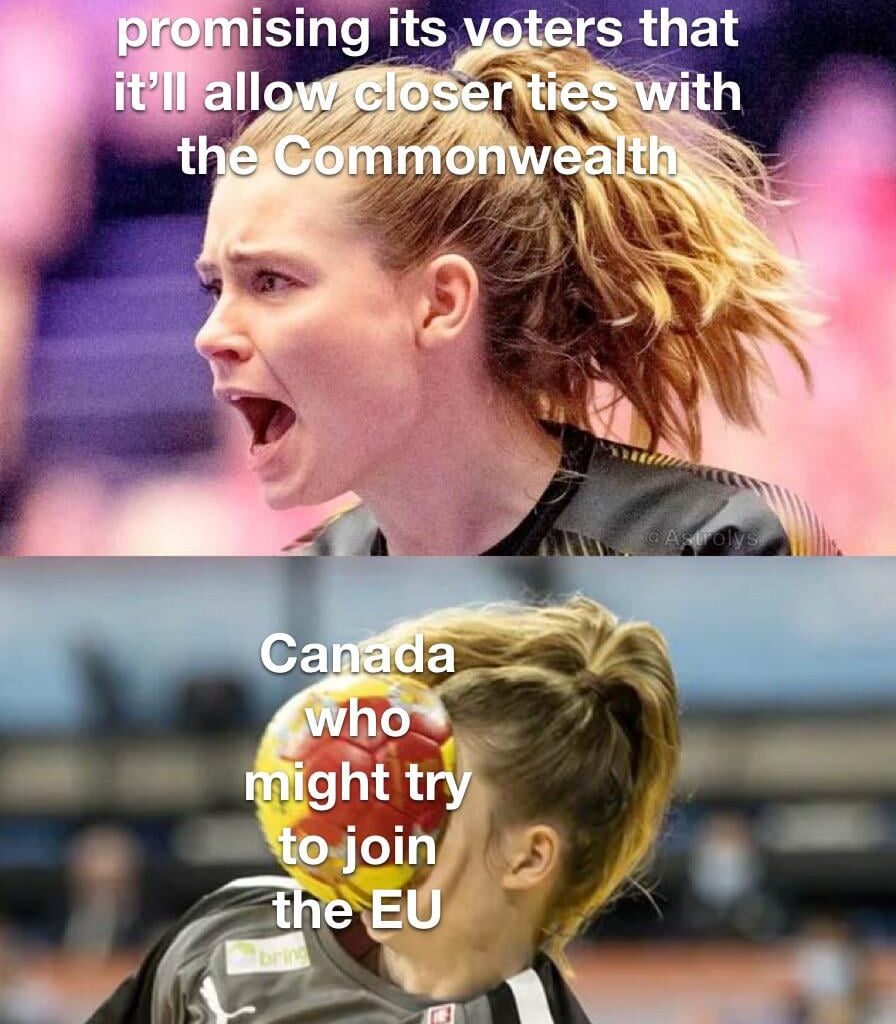 Oh, the irony