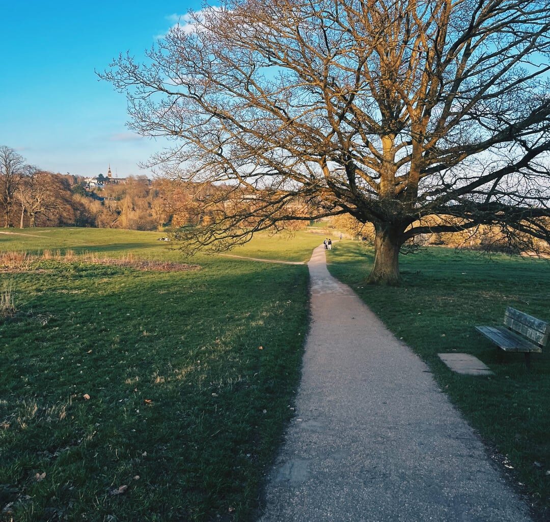 Beautiful Hampstead Heath!