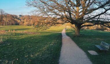 Beautiful Hampstead Heath!