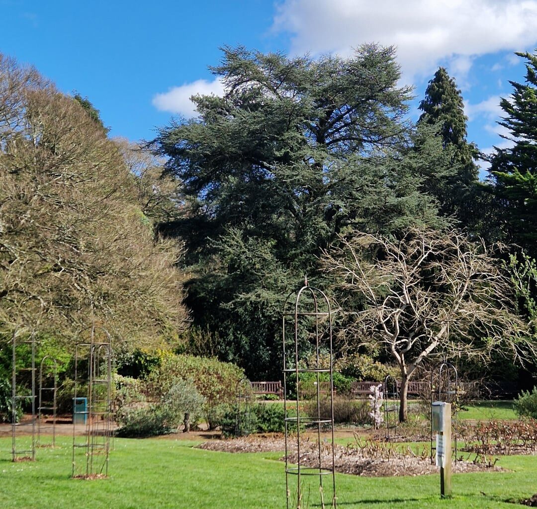 Roath Park 28/3/25