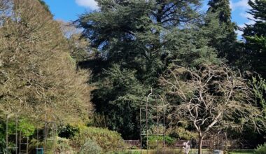 Roath Park 28/3/25