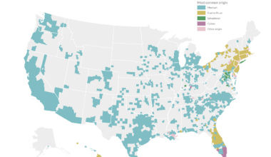Origins of America's Hispanic and Latino Population [OC]