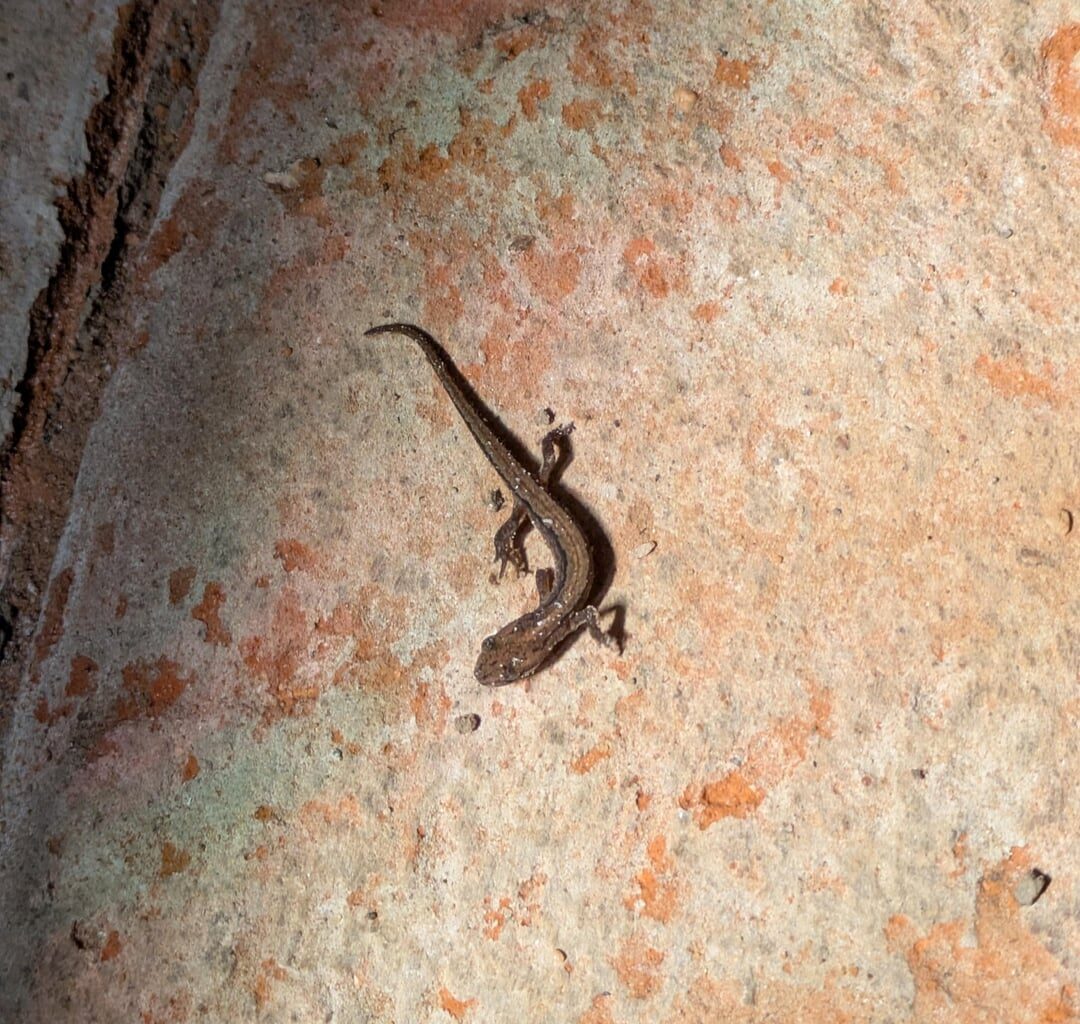 Was habe ich da im Keller?