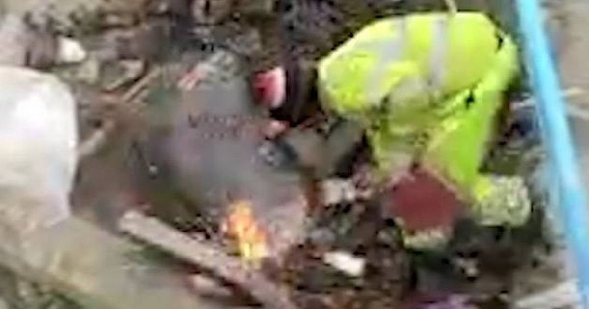 Moment rogue utility firm cause mini explosion while digging up pavement for Albanian cannabis gang