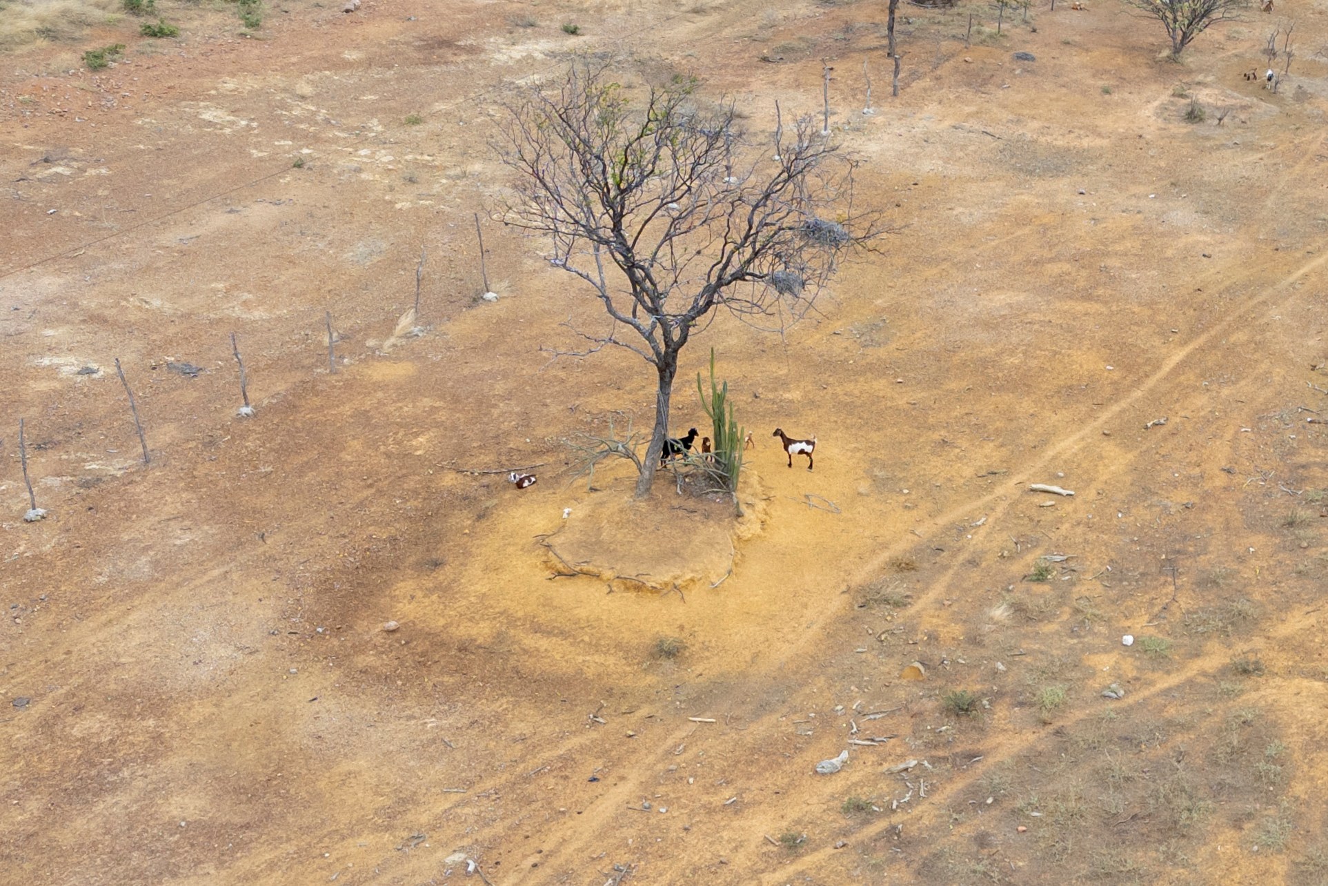 FILES-BRAZIL-ENVIRONMENT-DROUGHT