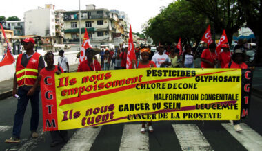 le Conseil de l'Europe rejette la requête d'associations
