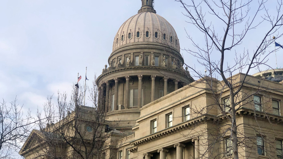 Idaho forms D.O.G.E. task force to boost efficiency, cut wasteful spending