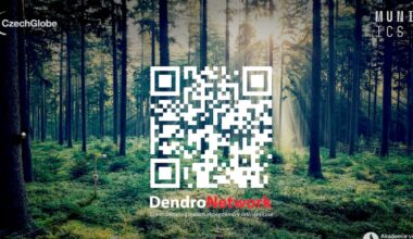 New network tracks the health of trees across Czechia’s forests
