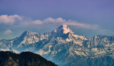 How Warm Air Rises And Creates Buoyancy
