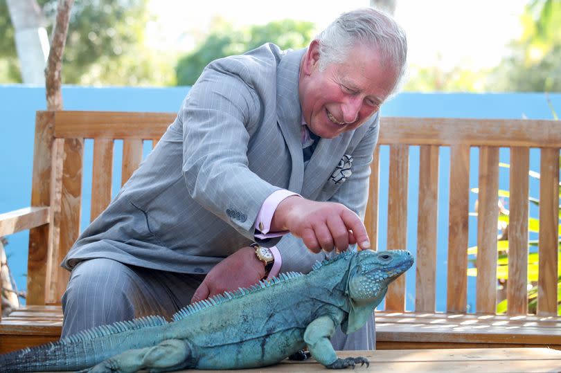 King Charles stroking an iguana